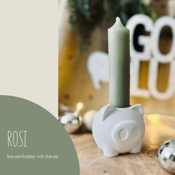 GLÜCKSSCHWEIN "ROSI"